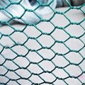 hexagonal wire mesh/chicken wire mesh 4