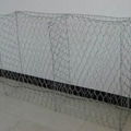 hexagonal wire mesh/chicken wire mesh 3