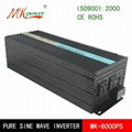 6000W Pure Sine Wave Inverter 1