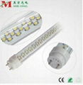 LED lights  4