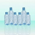 High speed stretch plastic bottle blow molding machine(professional efficient) 5