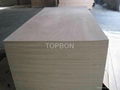 Best price for plywood 5