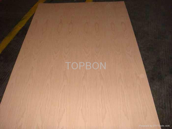  FANCY VENEER BOARD 2