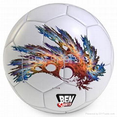 Soccer Balls