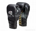 Boxing Gloves 1