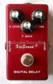 XinSound Digital Delay Pedal 2