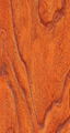 Registered Walnut Surface Laminate