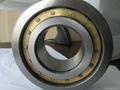 Cylindrical Roller Bearings