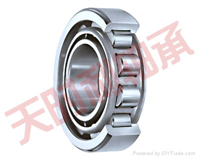 Cylindrical Roller Bearings 4