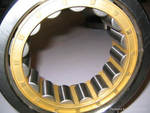 Cylindrical Roller Bearings 5