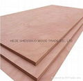 Bintangor Plywood