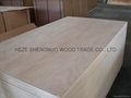 Furniture Plywood 4