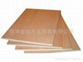 PLYWOOD 3