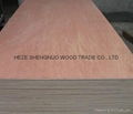 Bintangor Plywood 4