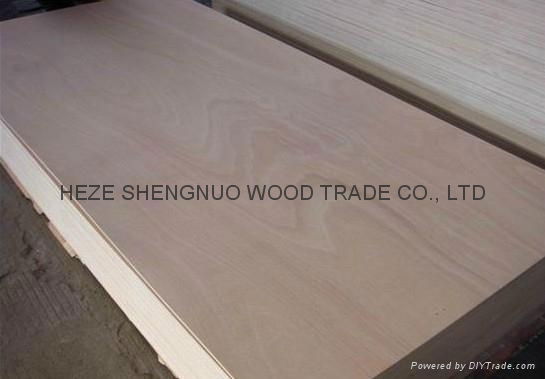 Commercial Plywood