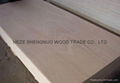 Commercial Plywood 1