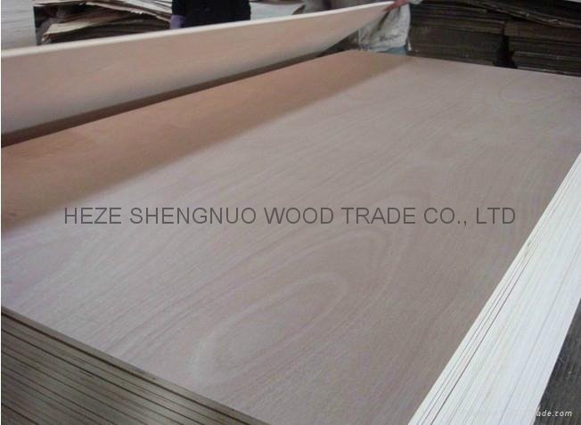 Commercial Plywood 2