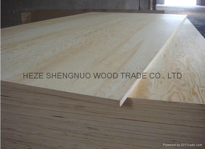 Commercial Plywood 5