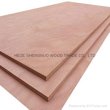 Bintangor Plywood