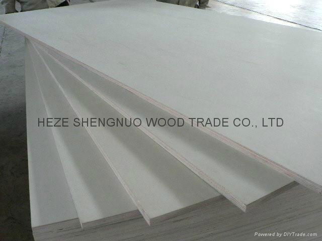 White Poplar Plywood