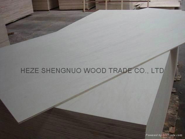 White Poplar Plywood 2