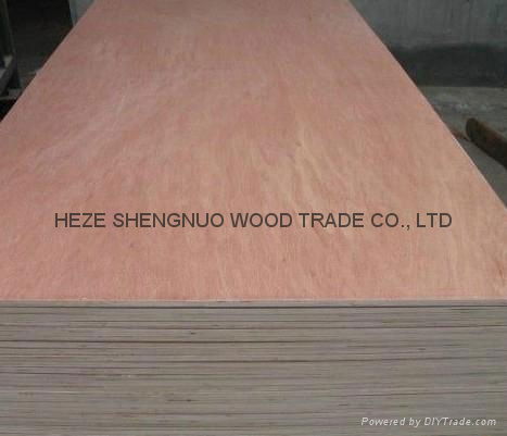 Supply Hardwood Plywood 2