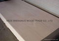 Supply Hardwood Plywood 3