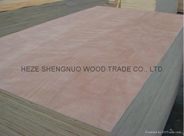 Supply Hardwood Plywood 5