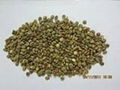 Vietnam coffee bean for sell 1