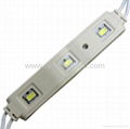 5630 LED Module 2