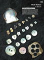 Shell Buttons 2