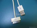 iphone USB cable