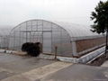 agricultural greenhouse