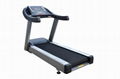 Motorized Treadmill