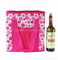  wine ice bag 