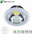 LED downlight