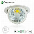 High quality COB LED Downlight