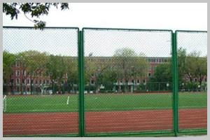 Playground fence