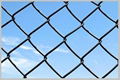 Chain Link Fence