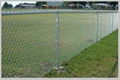 Chain Link Fence 4