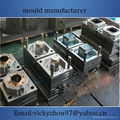 Plastic Paint Bucket Mould 