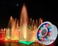 LED fountain light 1