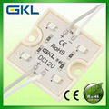 LED Module manufacturer from Chian   FP36W4 1