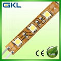 LED flexible strip  FP1000W30 1