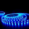 LED flexible strip  FP1000W30 2