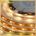 5050/3528 Flexilble LED Strip