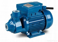 PM series electric peripheral water pump