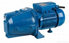 CAM series electric self-priming water pump