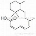 Isotretinoin  1