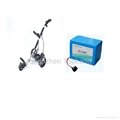 12V 40Ah Golf Trolley Battery with lifepo4 battery 2